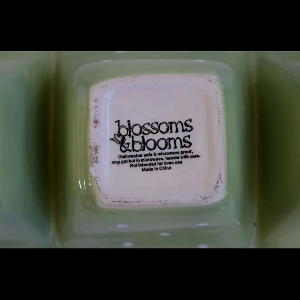 Blossoms and Blooms Divided Dish Blue‎ & Lime Green